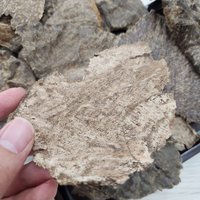 Trầm miếng | Hàng tự nhiên | Mặt chem cao cấp | mùi gỗ ngọt ấm từ miền Trung Việt Nam photo 5