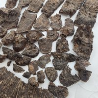 Agarwood | Natural | Stump part King Triple super | sweet woody warmth from Central Vietnam photo 2