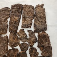 Agarwood | Natural | Stump part King Triple super | sweet woody warmth from Central Vietnam photo 3