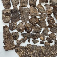 Agarwood | Natural | Stump part King Triple super | sweet woody warmth from Central Vietnam photo 4