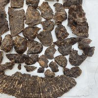 Agarwood | Natural | Stump part King Triple super | sweet woody warmth from Central Vietnam photo 5
