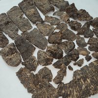 Agarwood | Natural | Stump part King Triple super | sweet woody warmth from Central Vietnam photo 6