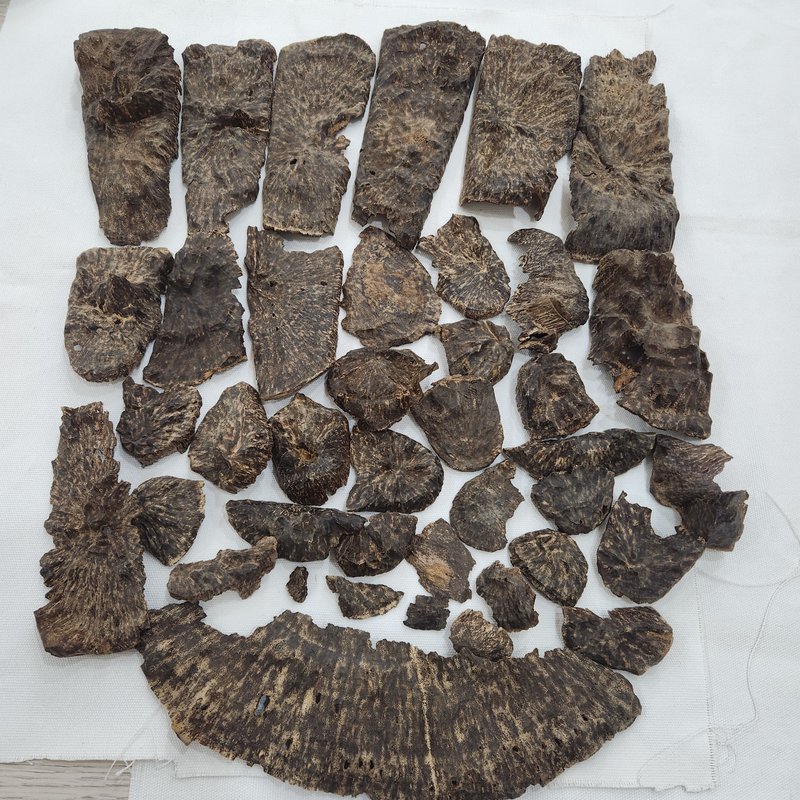 Agarwood | Natural | Stump part King Triple super | sweet woody warmth from Central Vietnam