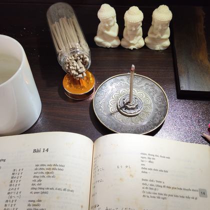 Solid Agarwood Incense 9 cm | Rich, Warm, Lightly Sweet | 70 g Jar