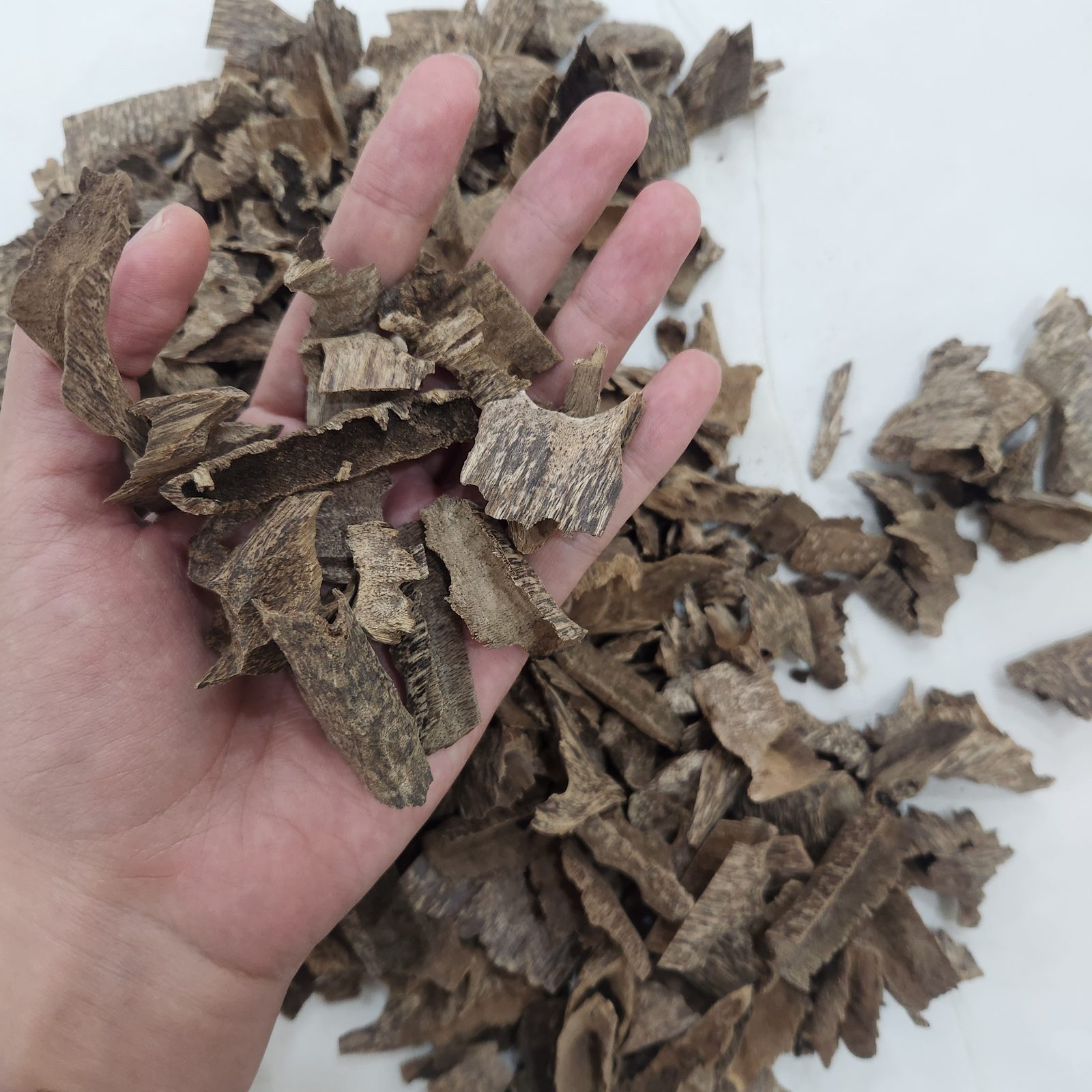Close-up raw agarwood pieces