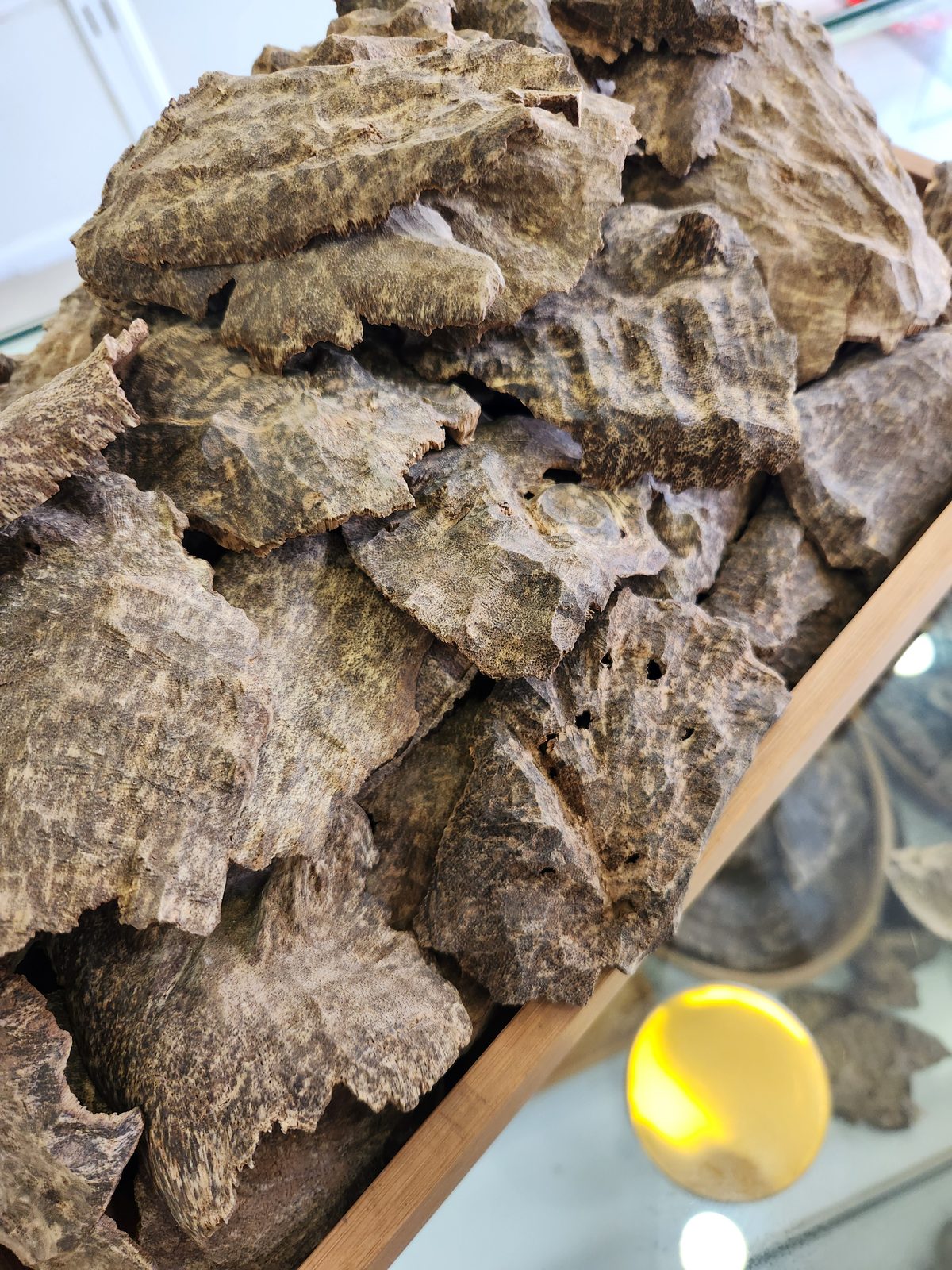 Tổng thể c&aacute;c miếng trầm hương h&agrave;ng mọ