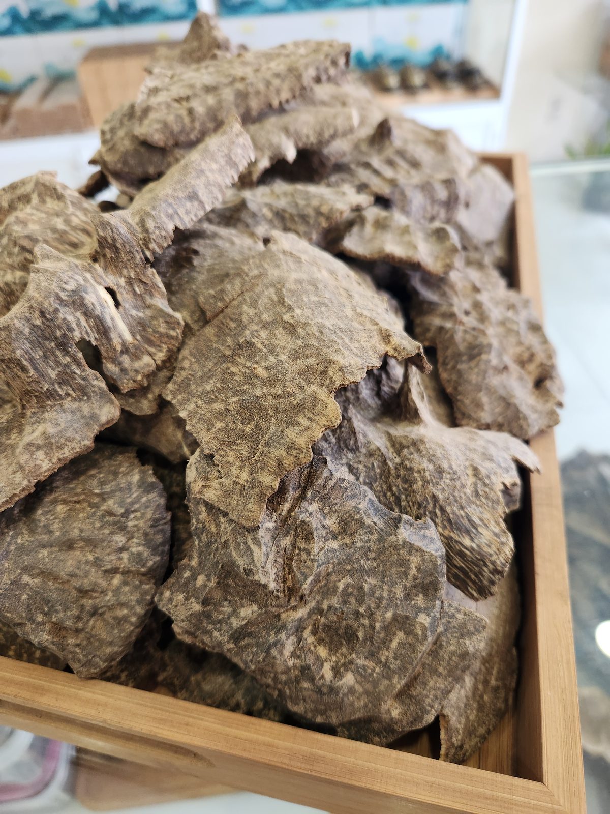 Overview of Plantation Char Oud Super pieces